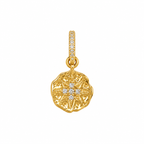 Charm de Estrella Guiadora